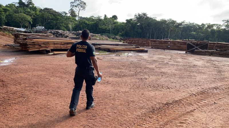 OPERA&Atilde;Â&Acirc;Â&Atilde;Â&Acirc;Â&Atilde;Â&Acirc;Â&Atilde;Â&Acirc;ÂO DEFOREST 2 (Foto: PF - ASSESSORIA)