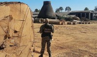 POL&Iacute;CIA FEDERAL DEFLAGRA OPERA&Ccedil;&Atilde;O EM BURITIS PARA COMBATER EXPLORA&Ccedil;&Atilde;O  DE MADEIRA EM &Aacute;REA DE RESERVA - Foto: ASSESSORIA