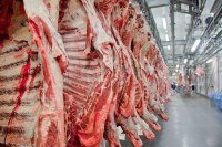 ROND&Ocirc;NIA &Eacute; O MAIOR EXPORTADOR DE CARNE BOVINA DO NORTE, CHINA &Eacute; O MAIOR COMPRADOR - Foto: ASSESSORIA