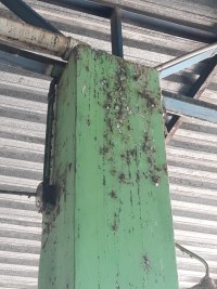 MATO, TEIA DE ARANHA E COC&Ocirc; DE POMBO TOMAM CONTA DO TERMINAL RODOVI&Aacute;RIO DE ARIQUEMES - Foto: EDIRCEU LIMA