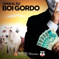 MINIST&Eacute;RIO P&Uacute;BLICO DEFLAGRA OPERA&Ccedil;&Atilde;O "BOI GORDO" EM ARIQUEMES E PORTO VELHO - Foto: ASSESSORIA MP