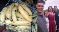 FAM&Iacute;LIA QUE MORA EM ASSENTAMENTO MOSTRA QUE "AGRICULTURA FAMILIAR" &Eacute; A SA&Iacute;DA PARA O PEQUENO - Foto: JARUONLINE
