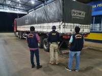 PRF DE ARIQUEMES DETECTA FRAUDE FISCAL EM CARRETA DE CASSITERITA NOTA DE 84 MIL E CARGA DE 3 MILH&Otilde;ES - Foto: com informa&ccedil;&otilde;es da PRF