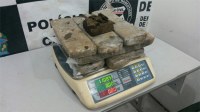 POL&Iacute;CIA APREENDE 11 QUILOS  DE MACONHA - Foto: ASSESSORIA