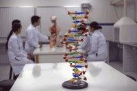CONFIRMADO PELO MINIST&Eacute;RIO DA EDUCA&Ccedil;&Atilde;O CURSO DE MEDICINA PARA JI - PARAN&Aacute; - Foto: RONDONIAGORA