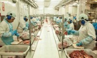 21 FRIGOR&Iacute;FICOS DO BRASIL RECEBEM AUTORIZA&Ccedil;&Atilde;O PARA EXPORTAR CARNE PARA A CHINA, 05 S&Atilde;O DE ROND&Ocirc;NIA - Foto: ASSESSORIA