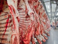 CARGA DE CARNE ROUBADA DE ROND&Ocirc;NIA AVALIADA EM 700 MIL REAIS &Eacute; RECUPERADA PELA POL&Iacute;CIA DO PARAN&Aacute; - Foto: com informa&ccedil;&otilde;es do G1