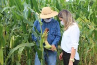 PREFEITA CARLA REDANO VISITA PRODUTOR E AFIRMA QUE AGRICULTURA SER&Aacute; PRIORIDADE NO SEU GOVERNO - Foto: ASSESSORIA