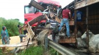 ACIDENTE NA BR - 364 ENVOLVENDO CARRETAS PR&Oacute;XIMO A ARIQUEMES DEIXA UM MORTO - Foto: RONDONIAVIP
