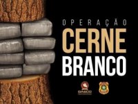MINIST&Eacute;RIO P&Uacute;BLICO DEFLAGRA OPERA&Ccedil;&Atilde;O "CERNE BRANCO" EM ROND&Ocirc;NIA - Foto: ASSESSORIA/MP