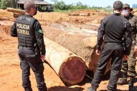 POL&Iacute;CIA FEDERAL CUMPRE MANDATOS DE PRIS&Atilde;O EM ARIQUEMES E PRENDE FILHO DE CHAULES POZZEBON - Foto: RONDONIADIN&Acirc;MICA