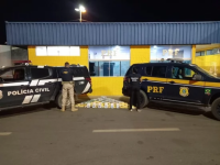 DROGA QUE SAIU DE ARIQUEMES PARA O SUL E NORDESTE &Eacute; APREENDIDA, A&Ccedil;&Atilde;O DA PC E PRF - Foto: ASSESSORIA
