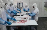 "MA" AUTORIZA ADES&Atilde;O DAS AGROIND&Uacute;STRIAS DE ROND&Ocirc;NIA DO LEITE, OVOS E PEIXE AO "SISBI-POA" - Foto: ASSESSORIA