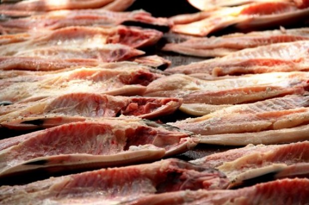  (Foto: assessoria/SECOM)