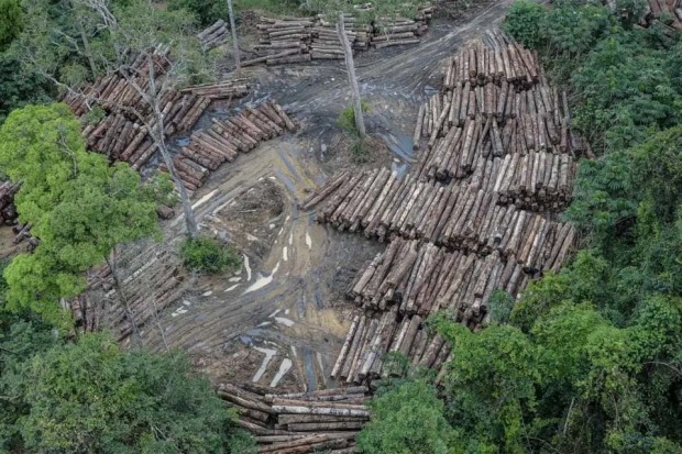  (Foto: Edirceu Lima com informa&ccedil;&otilde;es RONDONIADINAMI)