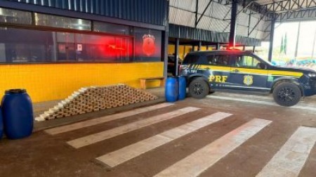 PRF APREENDE MAIS DE 180 QUILOS DE SKUNK NA BR - 364