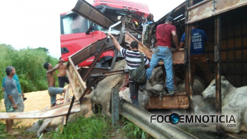 ACIDENTE NA BR - 364 ENVOLVENDO CARRETAS PR&Oacute;XIMO A ARIQUEMES DEIXA UM MORTO