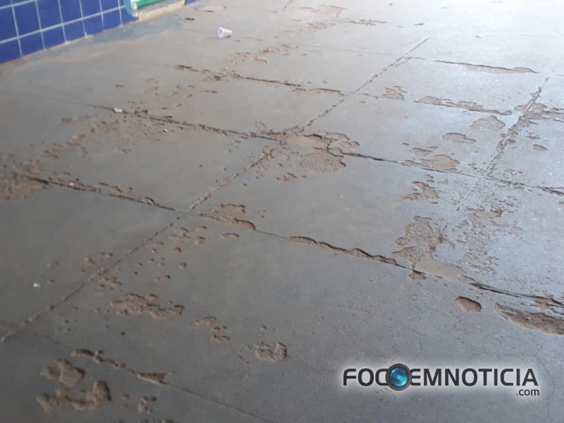 MATO, TEIA DE ARANHA E COC&Ocirc; DE POMBO TOMAM CONTA DO TERMINAL RODOVI&Aacute;RIO DE ARIQUEMES