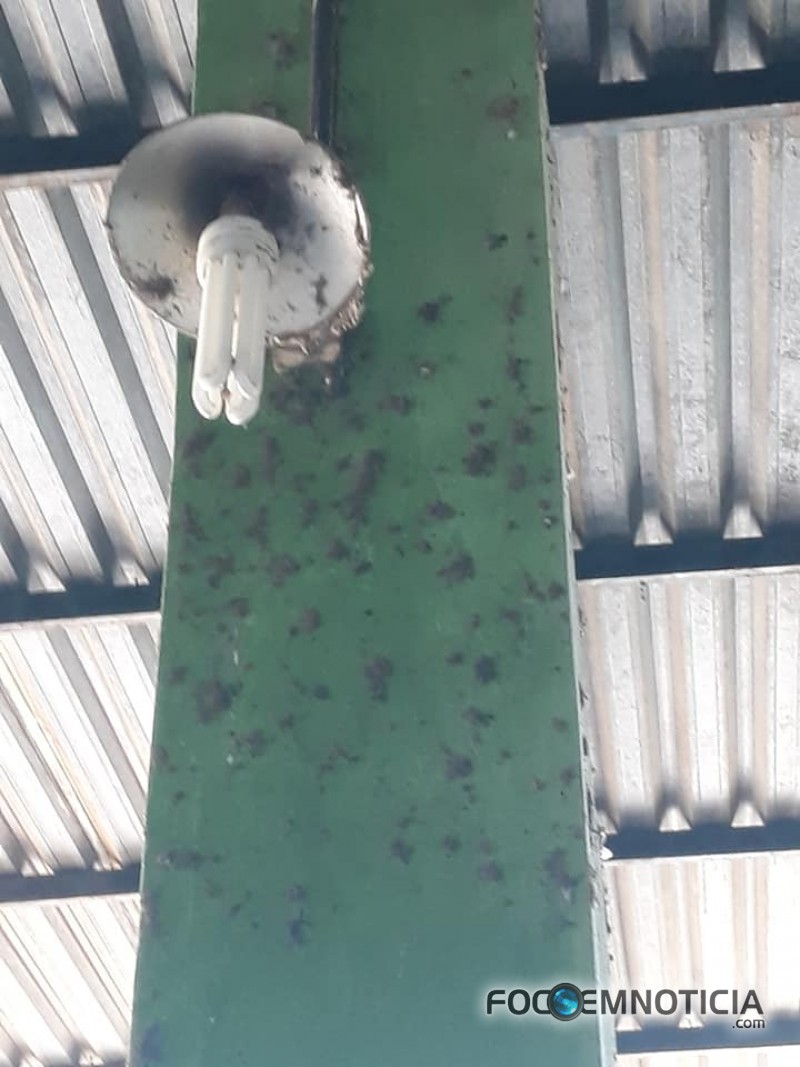 MATO, TEIA DE ARANHA E COC&Ocirc; DE POMBO TOMAM CONTA DO TERMINAL RODOVI&Aacute;RIO DE ARIQUEMES