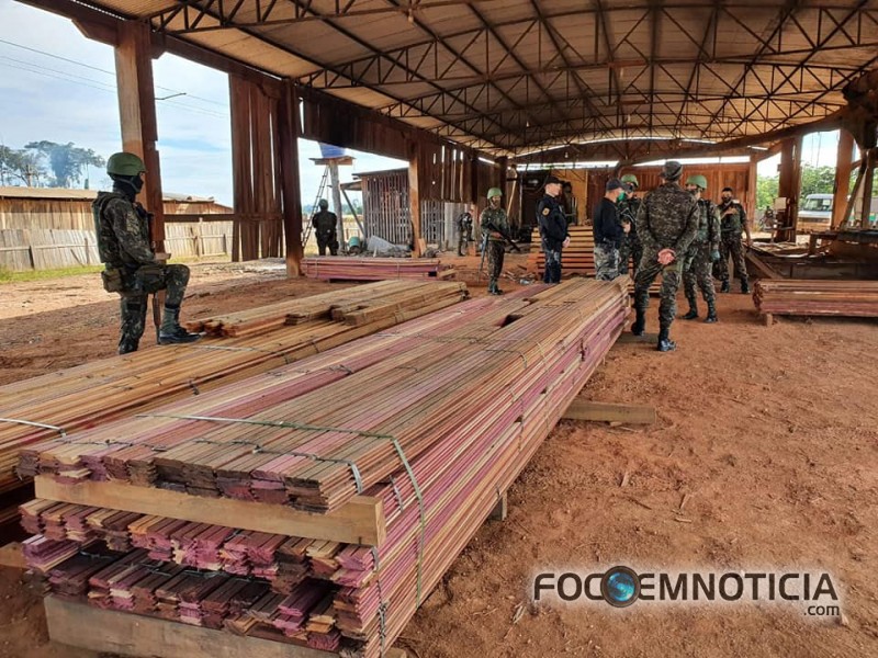 POL&Iacute;CIA FEDERAL DEFLAGRA OPERA&Ccedil;&Atilde;O PARA COMBATER EXPLORA&Ccedil;&Atilde;O ILEGAL DE MADEIRA EM &Aacute;REA DE PRESERVA&Ccedil;&Atilde;O