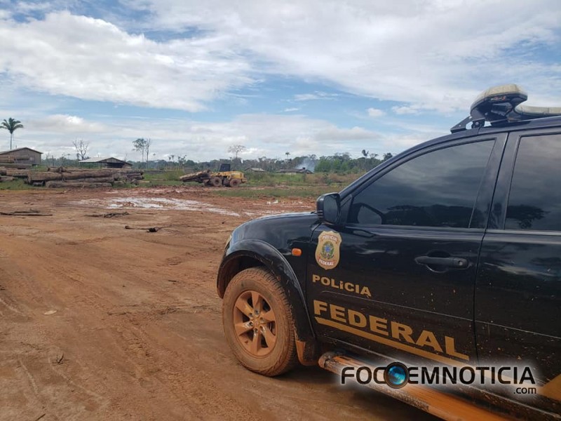 POL&Iacute;CIA FEDERAL DEFLAGRA OPERA&Ccedil;&Atilde;O PARA COMBATER EXPLORA&Ccedil;&Atilde;O ILEGAL DE MADEIRA EM &Aacute;REA DE PRESERVA&Ccedil;&Atilde;O