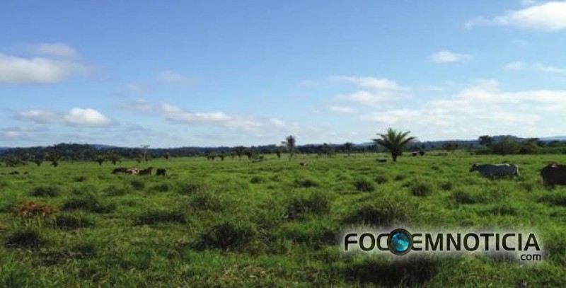 JUIZ ANULA LEIL&Atilde;O QUE IRIA PAGAR D&Iacute;VIDA GANHA POR HOMEM DECLARADO INV&Aacute;LIDO FLAGRADO JOGANDO BOLA