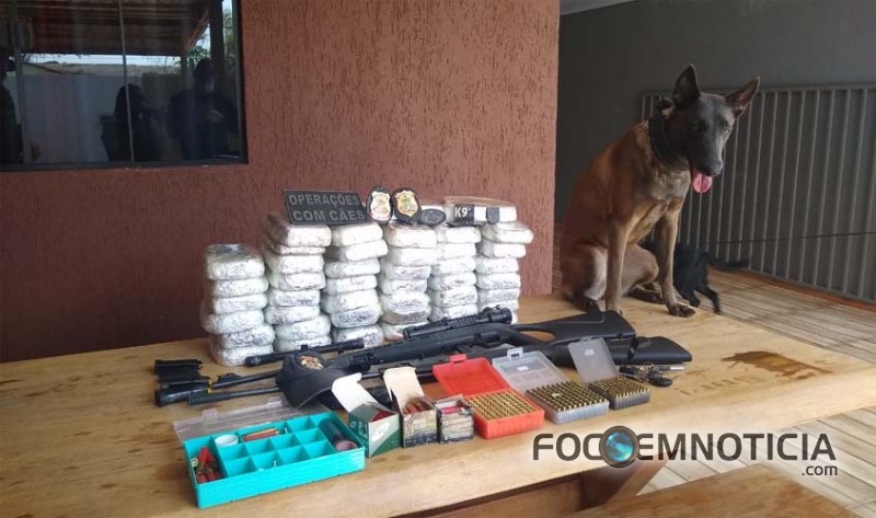 POL&Iacute;CIA FEDERAL APREENDE MAIS DE 45 QUILOS DE COCA&Iacute;NA  EM JI - PARAN&Aacute;