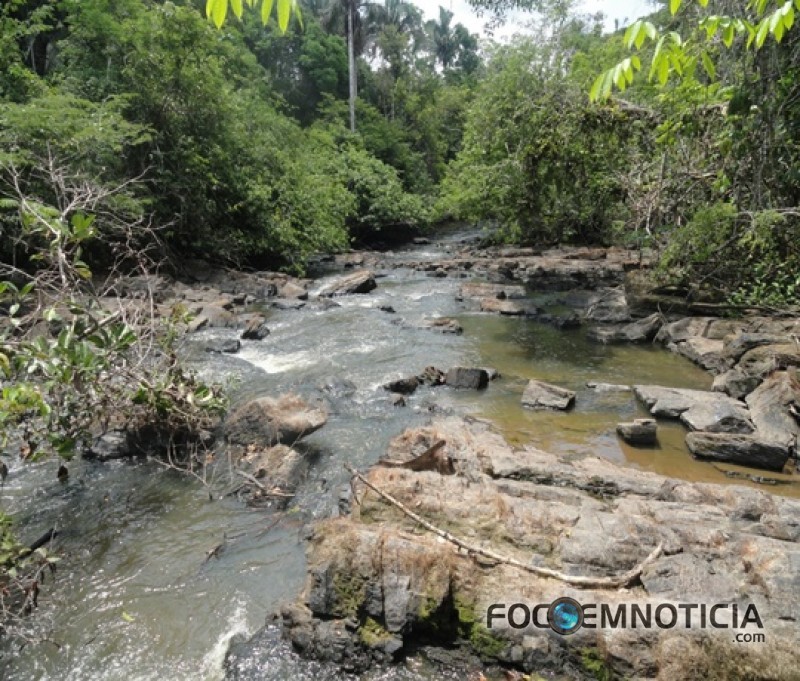 ENTIDADES DIZEM QUE GOVERNO DE ROND&Ocirc;NIA QUER ENCOLHER RESERVAS PARA BENEFICIAR INVASORES