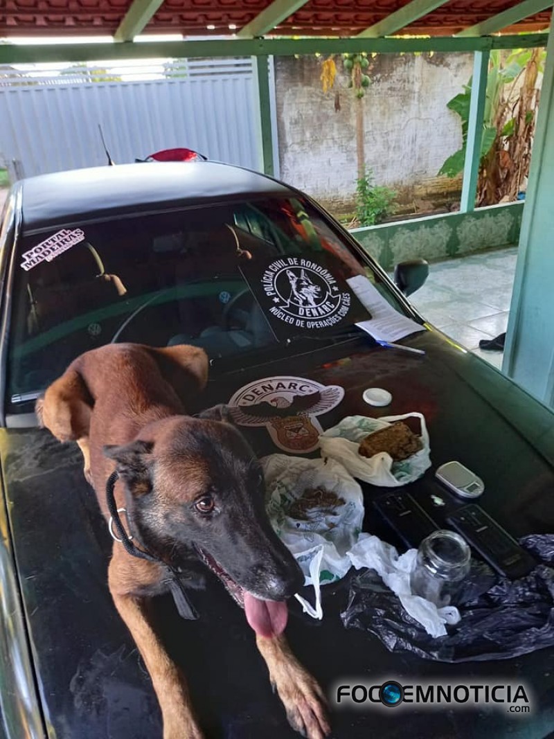 POL&Iacute;CIA CIVIL DE ARIQUEMES FAZ OPERA&Ccedil;&Atilde;O E PRENDE DOIS TRAFICANTES DE DROGAS SINT&Eacute;TICAS