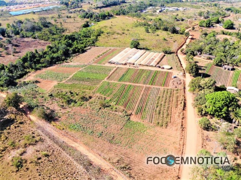 PREFEITURA INICIA PARCERIA COM PRODUTORES DE HORTALI&Ccedil;AS EM ARIQUEMES