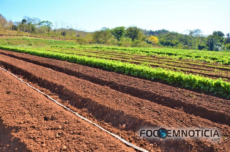 PREFEITURA INICIA PARCERIA COM PRODUTORES DE HORTALI&Ccedil;AS EM ARIQUEMES