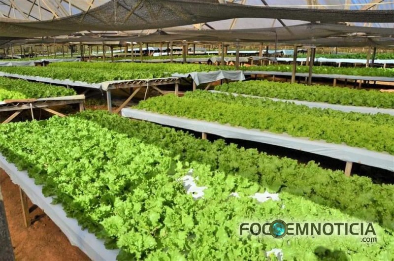 PREFEITURA INICIA PARCERIA COM PRODUTORES DE HORTALI&Ccedil;AS EM ARIQUEMES
