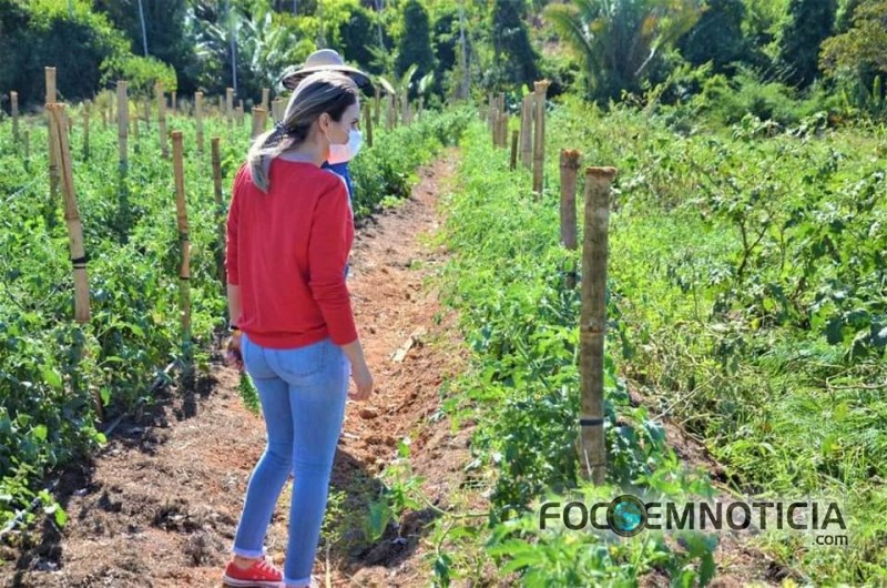 PREFEITURA INICIA PARCERIA COM PRODUTORES DE HORTALI&Ccedil;AS EM ARIQUEMES