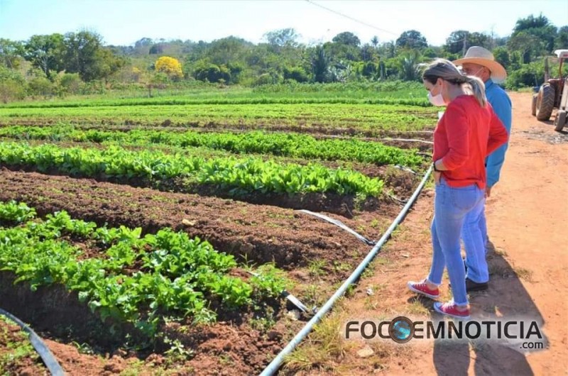 PREFEITURA INICIA PARCERIA COM PRODUTORES DE HORTALI&Ccedil;AS EM ARIQUEMES