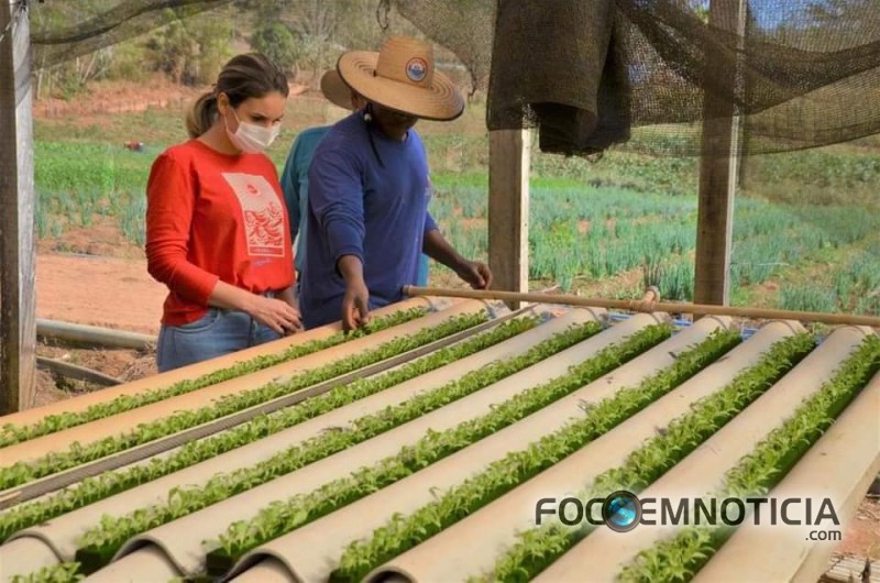 PREFEITURA INICIA PARCERIA COM PRODUTORES DE HORTALI&Ccedil;AS EM ARIQUEMES