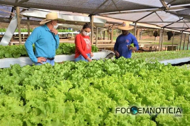 PREFEITURA INICIA PARCERIA COM PRODUTORES DE HORTALI&Ccedil;AS EM ARIQUEMES