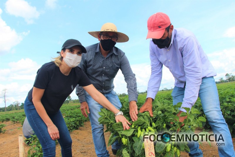 PROGRAMA "PROPRIEDADE PRODUTIVA" GARANTE 05 HORAS M&Aacute;QUINAS PARA PEQUENO AGRICULTOR EM ARIQUEMES