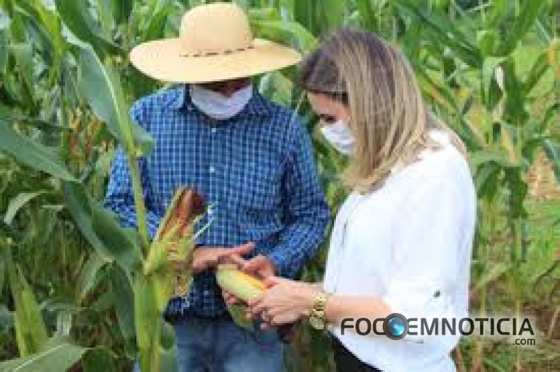 PROGRAMA "PROPRIEDADE PRODUTIVA" GARANTE 05 HORAS M&Aacute;QUINAS PARA PEQUENO AGRICULTOR EM ARIQUEMES