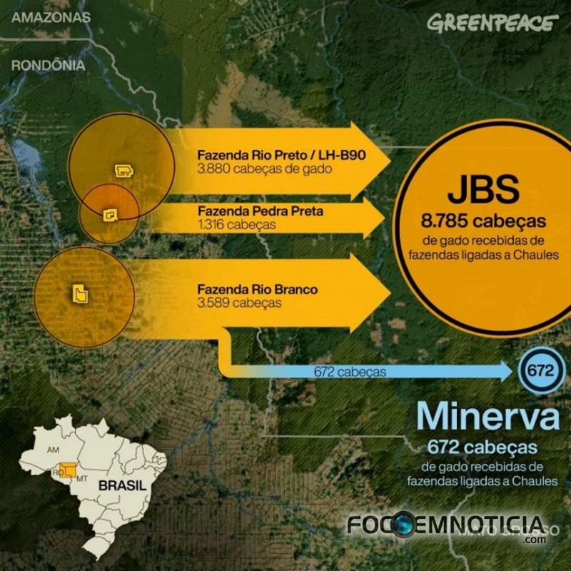 JBS COMPROU QUASE 9 MIL  BOIS ILEGAIS EM ROND&Ocirc;NIA