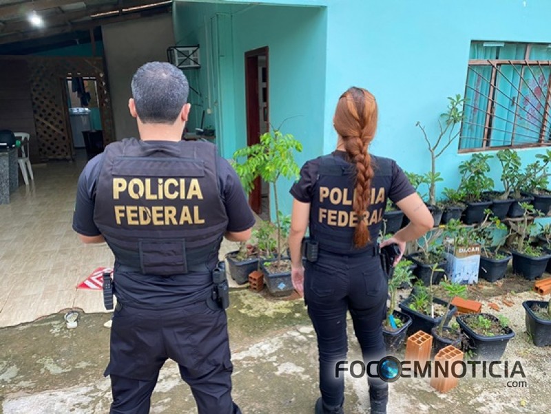 POL&Iacute;CIA FEDERAL PRENDE EM ARIQUEMES HOMEM  ACUSADO DE COMPARTILHAR PORNOGRAFIA INFANTOJUVENIL