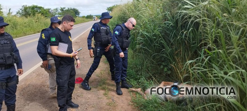 JOVENS S&Atilde;O EXECUTADOS A TIROS EM ARIQUEMES, CORPOS S&Atilde;O ACHADOS AS MARGENS DA BR  364, IMAGENS FORTES