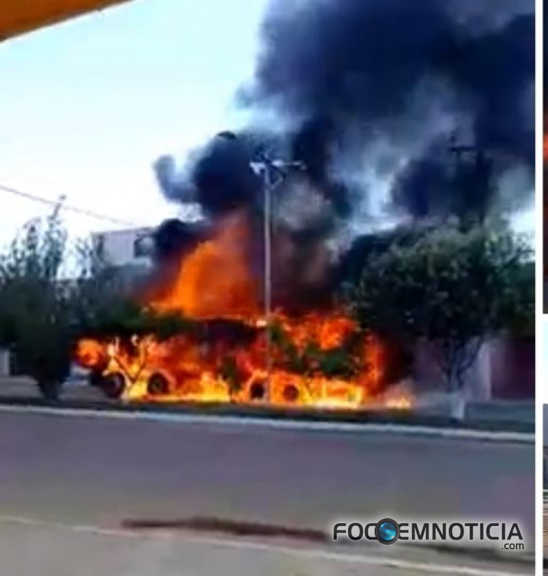 CAMINH&Atilde;O DE RA&Ccedil;&Atilde;O  E DESTRU&Iacute;DO PELO FOGO NA AVENIDA PRINCIPAL NO MUNIC&Iacute;PIO DE CACAUL&Acirc;NDIA, V&Iacute;DEOS