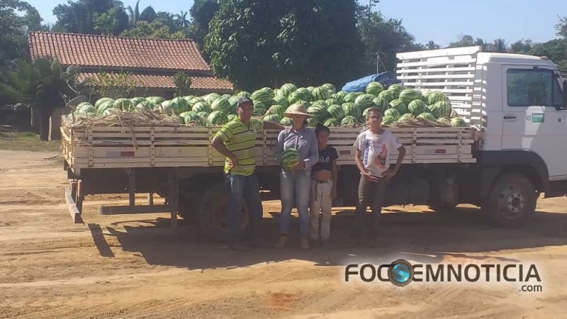 AGRICULTURA FAMILIAR RECEBE INCENTIVOS, AGRICULTOR BATE RECORDE NA PRODU&Ccedil;&Atilde;O DE MELANCIA EM THEOBROMA