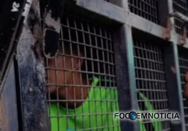 ARIQUEMES: MULHER &Eacute; MORTA ASFIXIADA POR ADOLESCENTE EM APARTAMENTO, ASSASSINO FOI PRESO